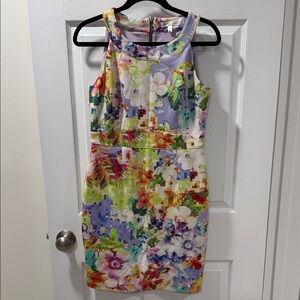 Spense Multicolor Floral Dress